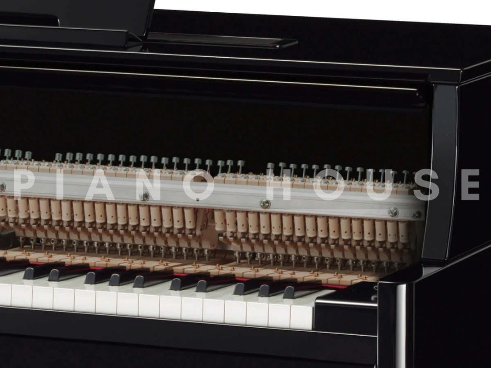 AVANT GRAND N1X (NEW) - Góc nhìn thực tế 6